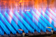Seisiadar gas fired boilers